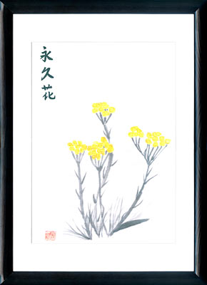 Sumi-e painting Helichrysum