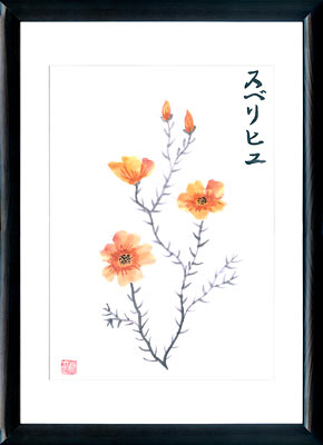 Pintura Sumi-e Portulaca