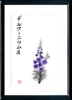 Sumi e Delphinium