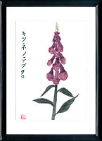 Sumi-e Foxglove