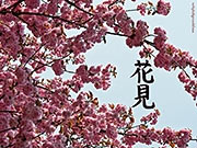 Desktop-Motive Hanami. Kanji Hanami