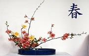 Japanese calligraphy wallpapers. Ikebana, Kanji Spring