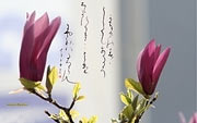 Fonds d'écran. Calligraphie Japonaise. L'été
