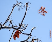 Les fonds d'écran, la calligraphie Japonaise Kanji Hiver