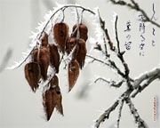 Japanese calligraphy wallpapers Kana Winter