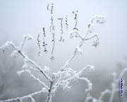 Caligrafía japonesa. Papel tapiz Invierno