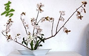 Ikebana, Japanische Kalligraphie Hintergrundbilder Kanji Der Frühling