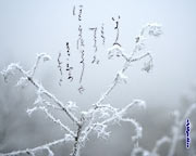 Japanische Kalligraphie Hintergrundbilder Der Winter